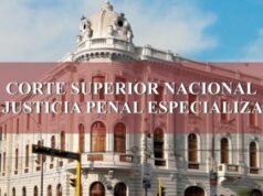 Poder Judicial sentenció a dos sujetos por apología al terrorismo en redes