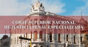 Poder Judicial sentenció a dos sujetos por apología al terrorismo en redes