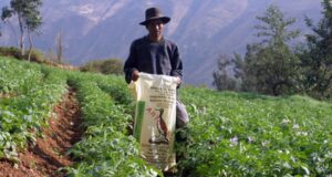 Demandarían al Estado por más de US$ 9 millones tras fallido intento de compra de urea