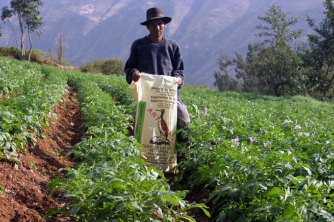 Demandarían al Estado por más de US$ 9 millones tras fallido intento de compra de urea