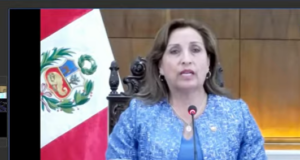 La presidenta de la República se presentó ante la OEA