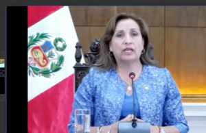 La presidenta de la República se presentó ante la OEA