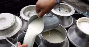 Debido al bloqueo de carreteras, la producción de leche se redujo a un 50%.