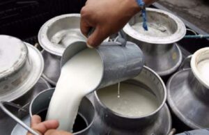 Debido al bloqueo de carreteras, la producción de leche se redujo a un 50%.