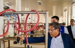 Gore Callao pondrá en funcionamiento desembarcadero pesquero Bahía Blanca