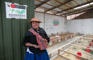 Midagri entregó 29 galpones a asociación agraria en Junín