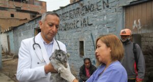 Carpas y asistencia para damnificados de incendio en Surco