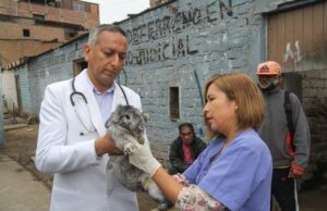 Carpas y asistencia para damnificados de incendio en Surco