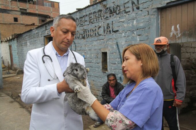 Carpas y asistencia para damnificados de incendio en Surco