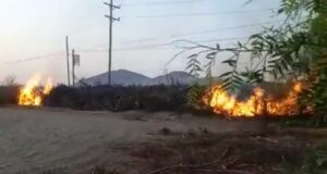 Vándalos saquean y queman cinco fundos agrícolas en Ica