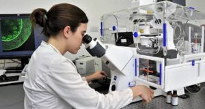 La Ley de Beneficios Tributarios favorece a las Mypes