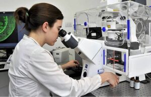 La Ley de Beneficios Tributarios favorece a las Mypes