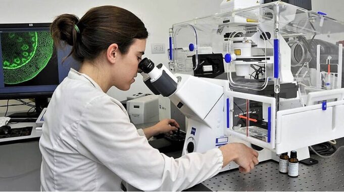 La Ley de Beneficios Tributarios favorece a las Mypes