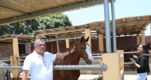 Reabren Asociación Cultural del Caballo Peruano de Paso