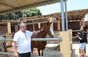 Reabren Asociación Cultural  del Caballo Peruano de Paso