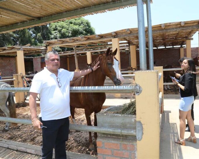 Reabren Asociación Cultural del Caballo Peruano de Paso
