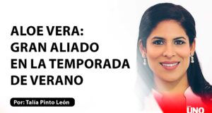 Aloe vera: Gran aliado en la temporada de verano