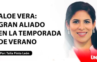 Aloe vera: Gran aliado en la temporada de verano