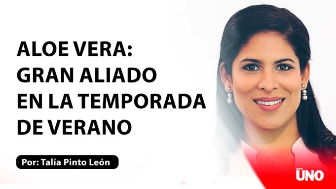 Aloe vera: Gran aliado en la temporada de verano