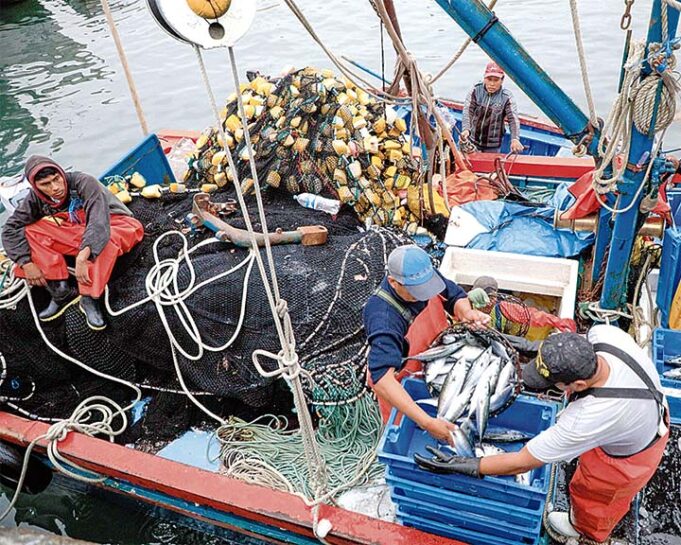 Aprueba bono de S/ 500 en favor de pescadores artesanales