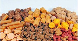 Exportación peruana de comida para animales creció 10% en últimos cuatro años