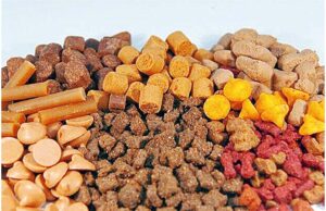 Exportación peruana de comida para animales creció 10% en últimos cuatro años