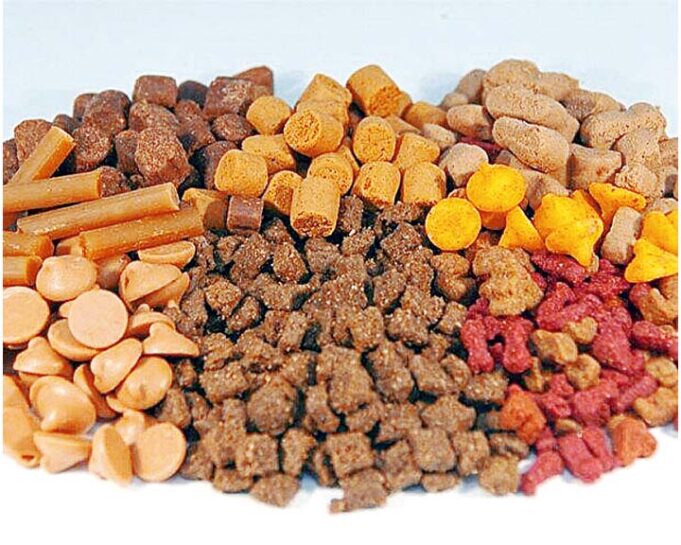 Exportación peruana de comida para animales creció 10% en últimos cuatro años