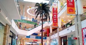 Sangre y balas en San Valentín