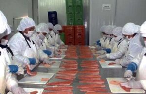 Exportaciones no tradicionales crecieron 11,4%