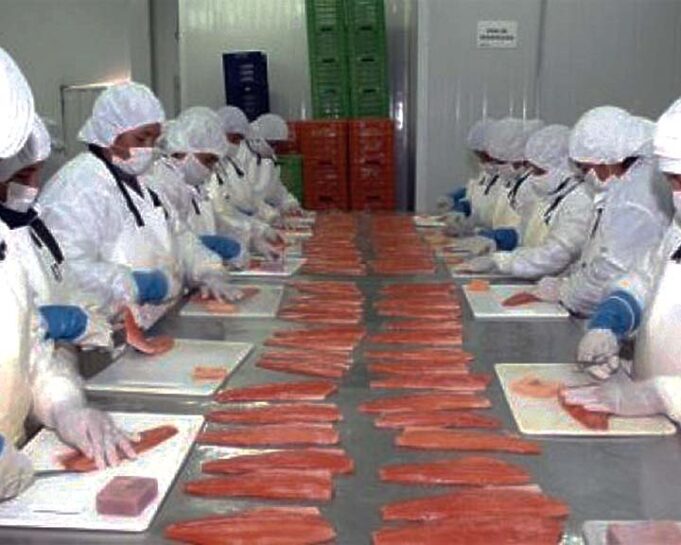 Exportaciones no tradicionales crecieron 11,4%