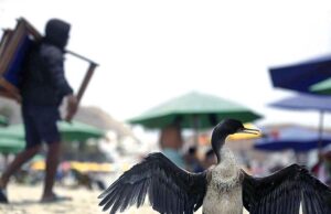 Realizarán simulación multisectorial preventivo