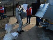 Incineran más de 14 toneladas de droga