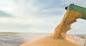 Argentina. Millonaria maniobra de las grandes cerealeras