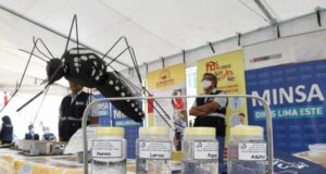 Brote de dengue: Minsa declarará en alerta sanitaria a 13 regiones