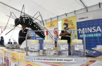 Brote de dengue: Minsa declarará en alerta sanitaria a 13 regiones