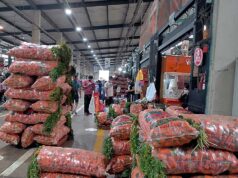 Normal abastecimiento de alimentos en mercados mayoristas de Lima