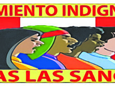 MOVIMIENTO INDIGNADOS TODAS LAS SANGRES: «Estamos siendo gobernados por un Gobierno golpista, fascista e ilegítimo.»