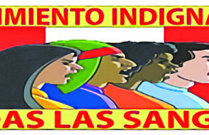 MOVIMIENTO INDIGNADOS TODAS LAS SANGRES: «Estamos siendo gobernados por un Gobierno golpista, fascista e ilegítimo.»