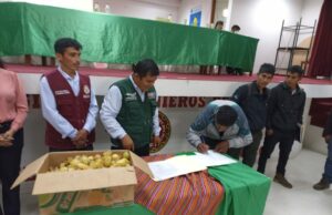 Midagri beneficia a 541 familias agrarias en Huánuco