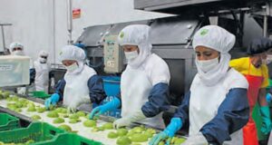 Empleos de exportaciones crecieron en 1.7% y marcan nuevo récord