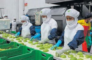 Empleos de exportaciones crecieron en 1.7% y marcan nuevo récord
