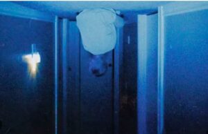 El fenómeno viral “skinamarink: el despertar del mal” llega a cines peruanos