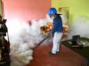 Confirman 26 fallecidos por dengue en todo el país Confirman 26 fallecidos por dengue en todo el país