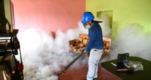 Confirman 26 fallecidos por dengue en todo el país Confirman 26 fallecidos por dengue en todo el país
