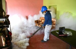 Confirman 26 fallecidos por dengue en todo el país Confirman 26 fallecidos por dengue en todo el país