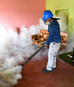 Confirman 26 fallecidos por dengue en todo el país