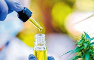 Aprueban reglamento del uso medicinal y terapéutico