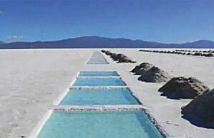 Argentina. Una ley para industrializar el litio