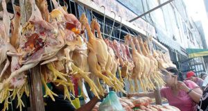 Precio del pollo se mantiene y tiende a normalizarse