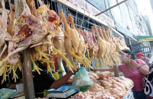 Precio del pollo se mantiene y tiende a normalizarse